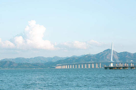 My Journey: Why I Founded Flarelink – Bridging Chinese Innovation with UK & European Markets
